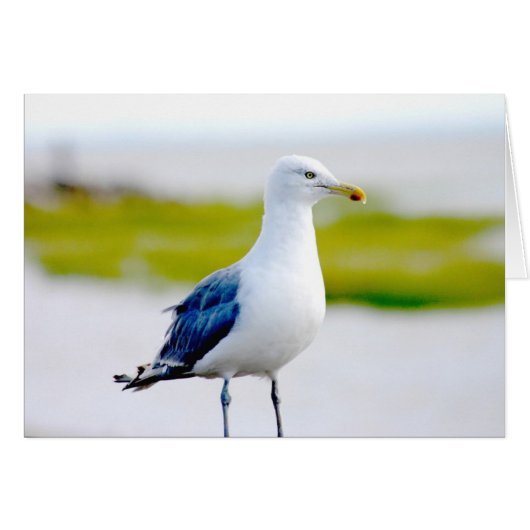 Bird by the Water Cards (Front Horizontal)