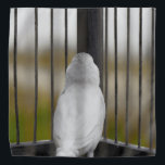 Bird, Cage, bars Bandana<br><div class="desc">2026</div>