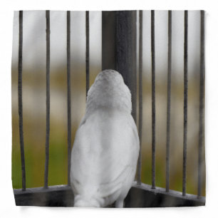 Bird, Cage, bars Bandana