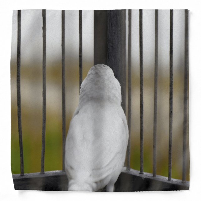 Bird, Cage, bars Bandana (Front)