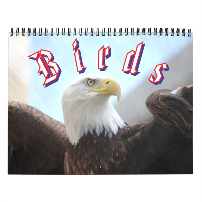 Bird Calendar (Cover)