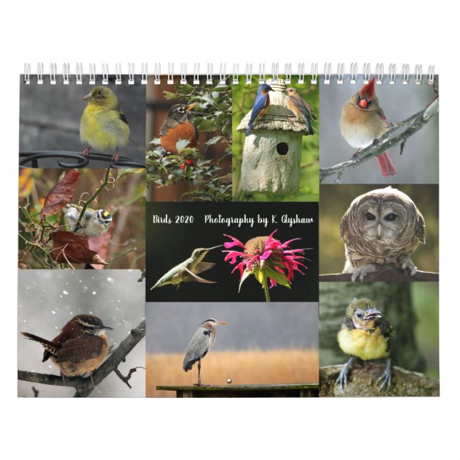 Bird Calendar 2020 (Cover)