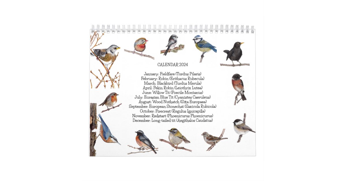 BIRD LOVERS BIRD WATCHERS WATERCOLOR 2024 MINI MAGNETIC CALENDAR