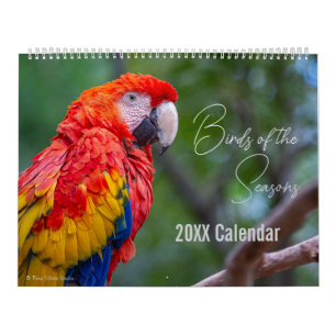 Bird Calendar Pick Your Start Month / Year