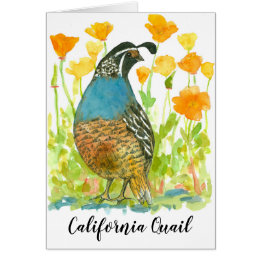 Bird California Quail Orange Poppies Cards