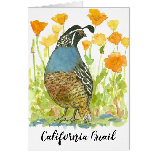 Bird California Quail Orange Poppies Cards (Front)