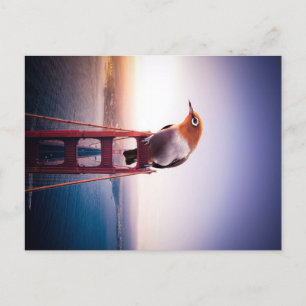 Bird canvas gift for Bird lover   Beauty Bird Announcement Postcard