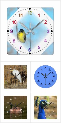 Bird Clocks
