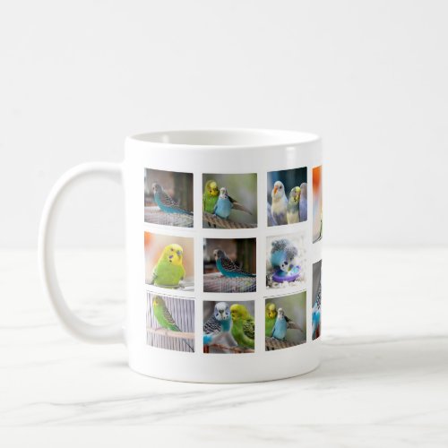 Bird Collage Photo Mug