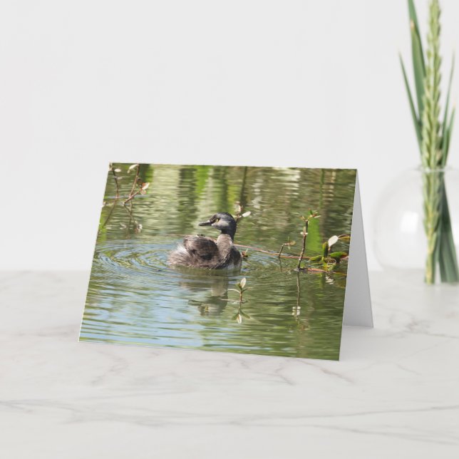 Bird Collection: Least Grebe (blank notes) Card (Front)