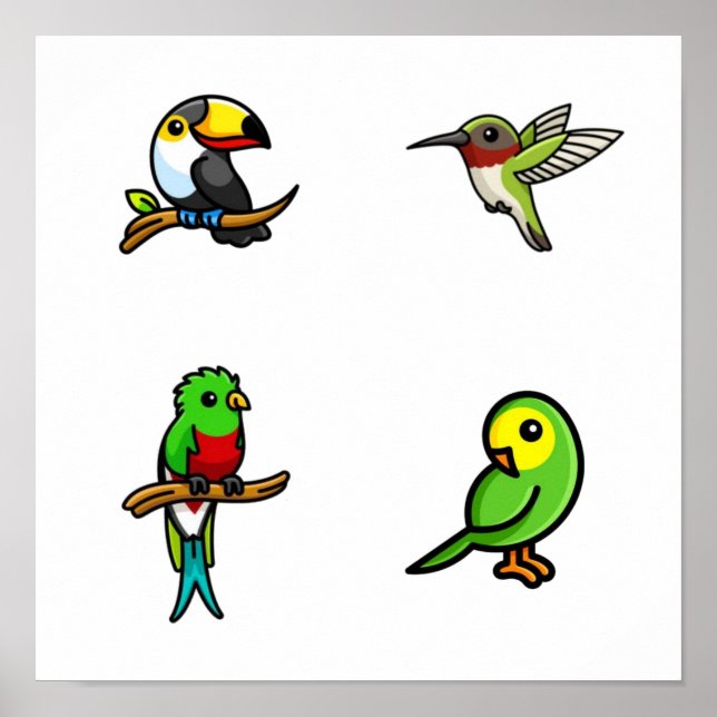 Bird collection poster (Front)