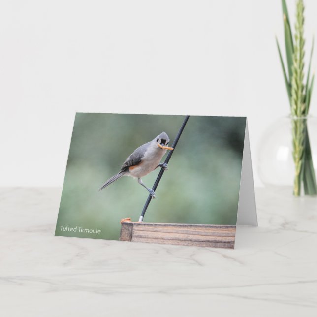Bird Collection: Tufted Titmouse (blank notes) Card (Front)