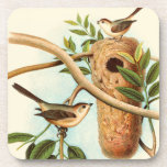 Bird Couple on a Nest Perched on a Branch Beverage Coaster