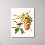 Bird Couple on a Nest Perched on a Branch Canvas Print