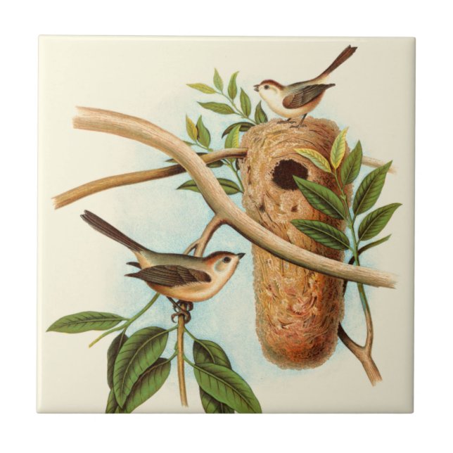 Bird Couple on a Nest Perched on a Branch Ceramic Tile (Front)