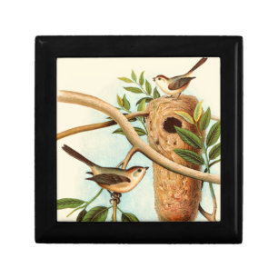 Bird Couple on a Nest Perched on a Branch Gift Box