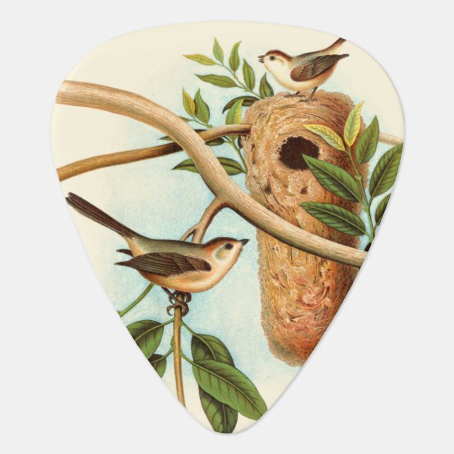 Bird Couple on a Nest Perched on a Branch Guitar Pick (Front)