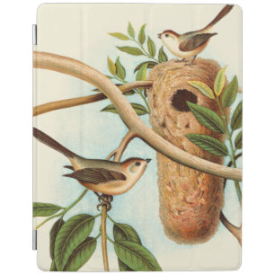 Bird Couple on a Nest Perched on a Branch iPad Smart Cover