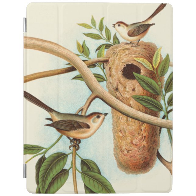 Bird Couple on a Nest Perched on a Branch iPad Smart Cover (Front)