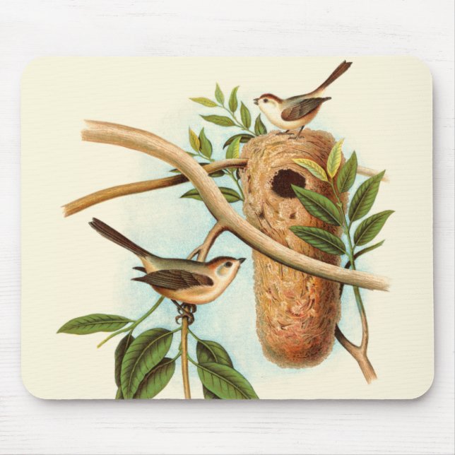 Bird Couple on a Nest Perched on a Branch Mouse Pad (Front)