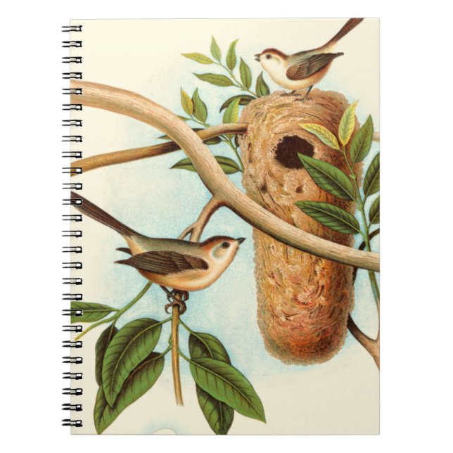 Bird Couple on a Nest Perched on a Branch Notebook (Front)