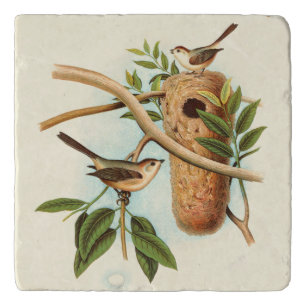 Bird Couple on a Nest Perched on a Branch Trivet