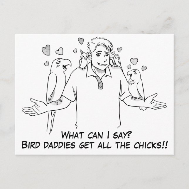 Bird daddies get all the chicks postcard (Front)