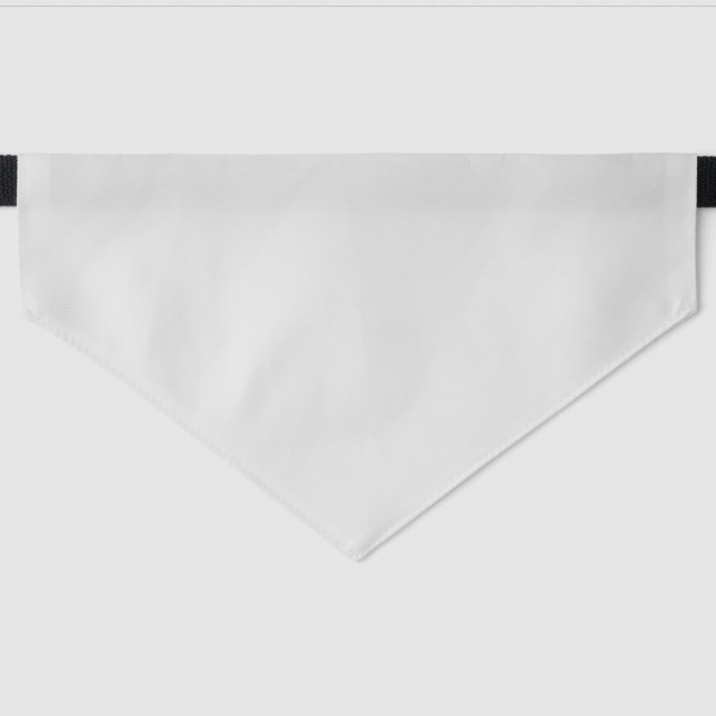 Bird Dog Collars | Hunt-Ready Durability (Front)