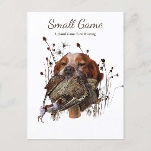 Bird dog  Upland Game Bird Hunting Postcard