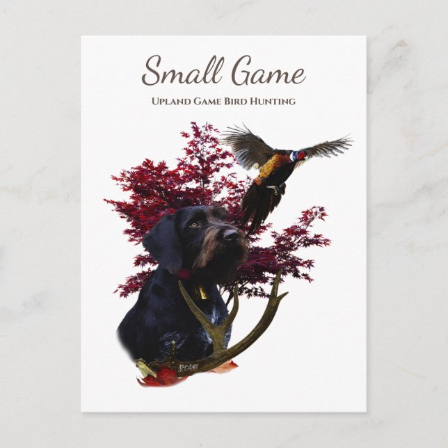 Bird dog , Upland Game Bird Hunting Postcard (Front)
