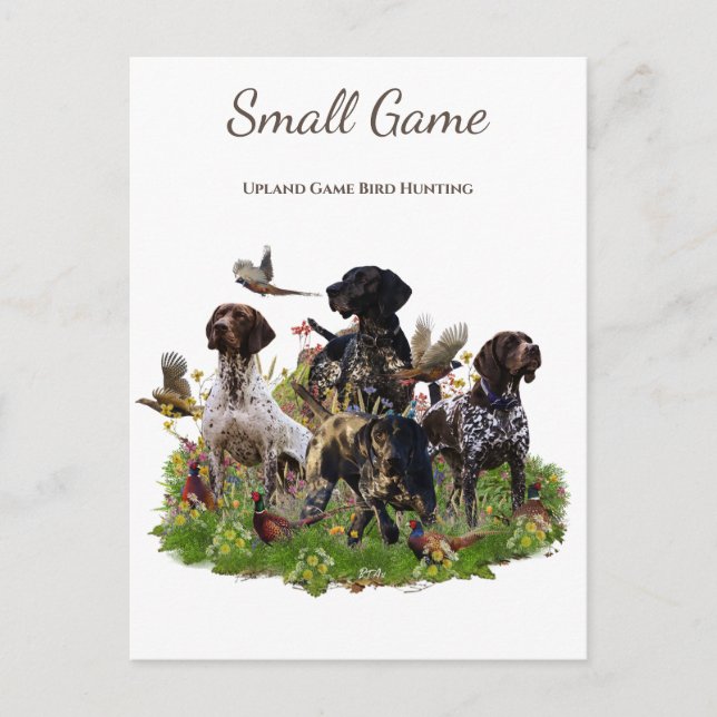 Bird dog , Upland Game Bird Hunting Postcard (Front)