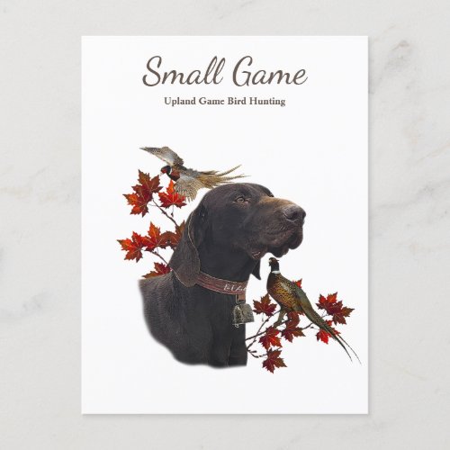 Bird dog  Upland Game Bird Hunting Postcard