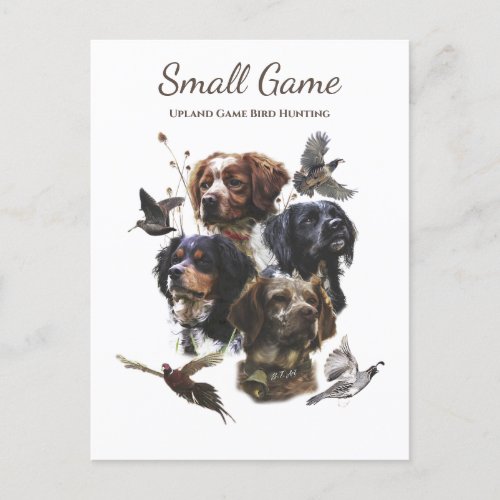 Bird dog  Upland Game Bird Hunting Postcard