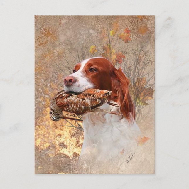 Bird dog , woodcock hunting postcard (Front)