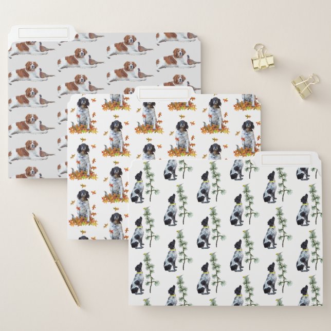 Bird Dogs File Folders (Set)