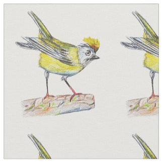 Bird Drawing  Combed Cotton (56" width) Fabric