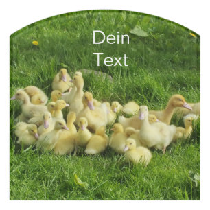 bird, duck, duckling, yellow, nature, cute, baby, door sign