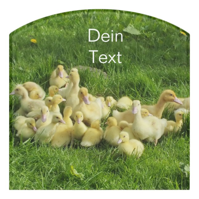 bird, duck, duckling, yellow, nature, cute, baby, door sign (Contour Front)