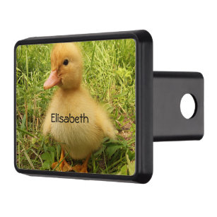 bird, duck, duckling, yellow, nature, cute, baby,  hitch cover