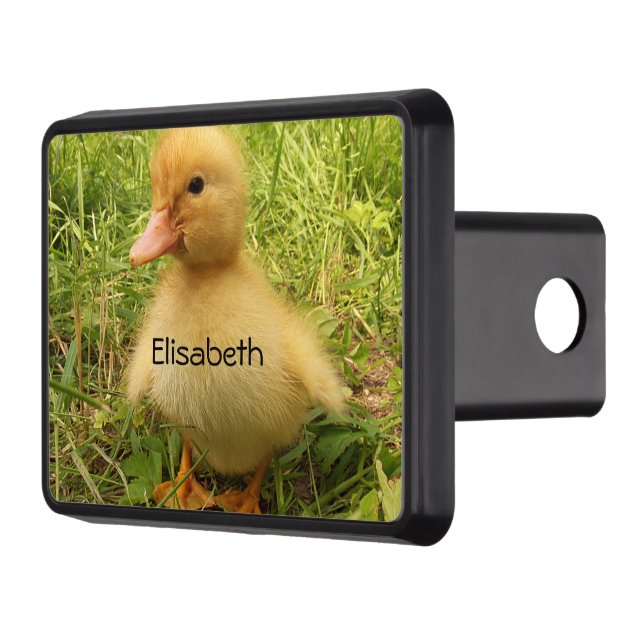 bird, duck, duckling, yellow, nature, cute, baby,  hitch cover (Left)