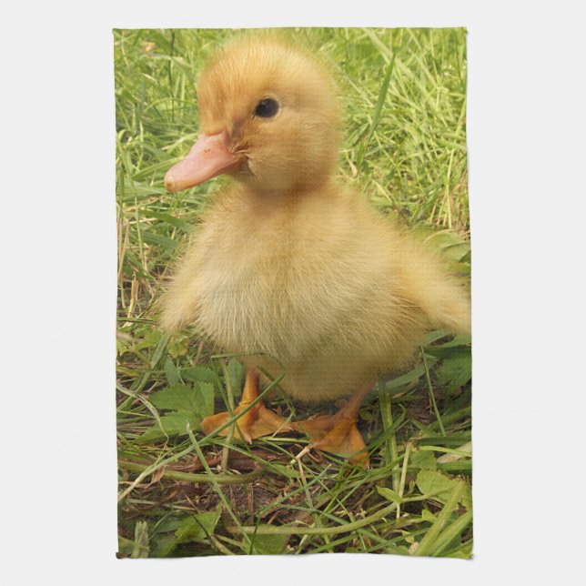 bird, duck, duckling, yellow, nature, cute, baby, kitchen towel (Vertical)