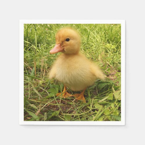 bird duck duckling yellow nature cute baby napkins