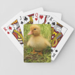Bird, Duck, Duckling, Yellow, Nature, Cute, Baby, Playing Cards at Zazzle