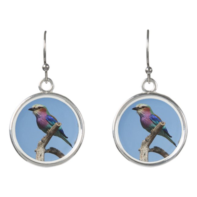 Bird Earrings (Front)