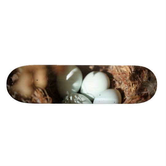 Bird Eggs Nest Skateboard