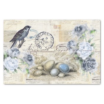 Bird Eggs Vintage Floral French Text Tissue Paper by 13MoonshineDesigns at Zazzle