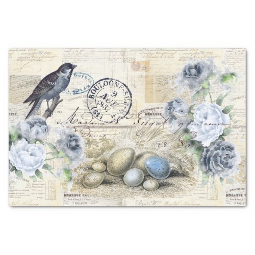 Bird Eggs Vintage Floral French Text Tissue Paper