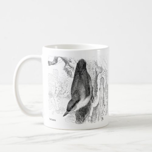 Bird Engravings  _ a Nuthatch  Treecreeper Coffee Mug