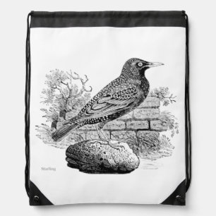 Bird Engravings  - a Starling Drawstring Bag