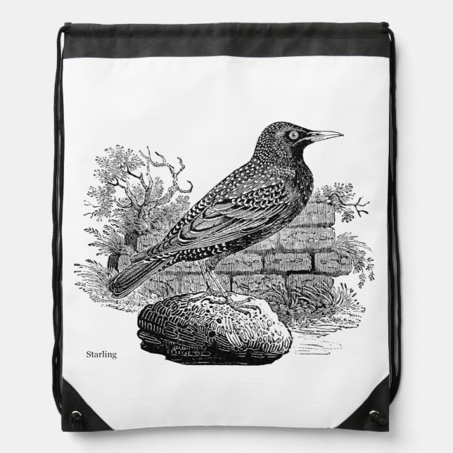 Bird Engravings  - a Starling Drawstring Bag (Front)